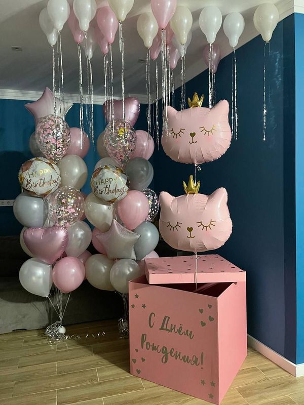 Вау-набор с коробкой и котиками