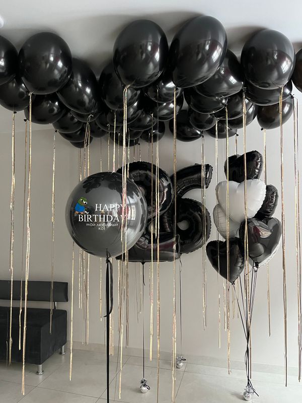 Mans mīļākais kaķis