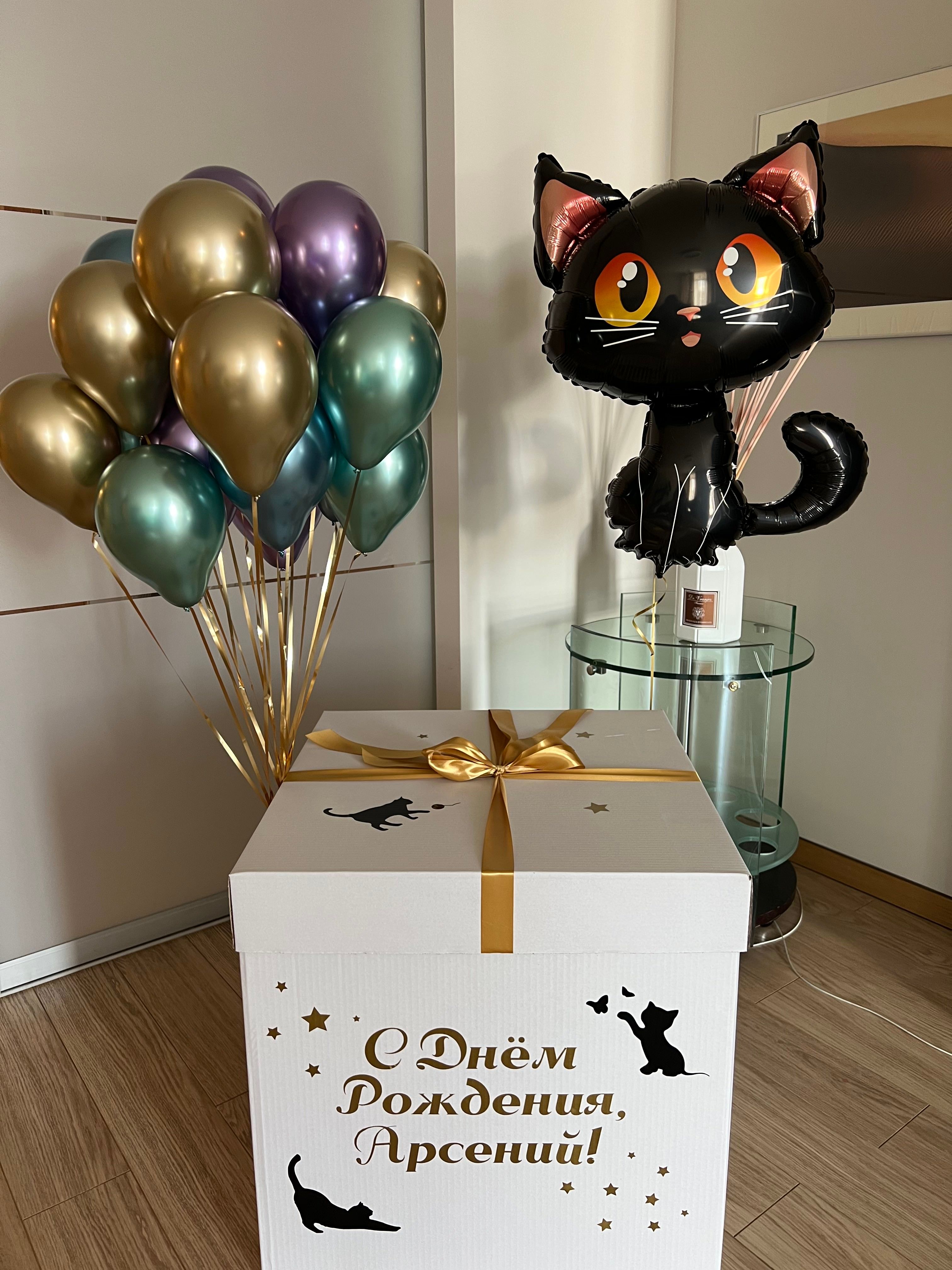 Коробка с котиком и 20 мини-шаров
